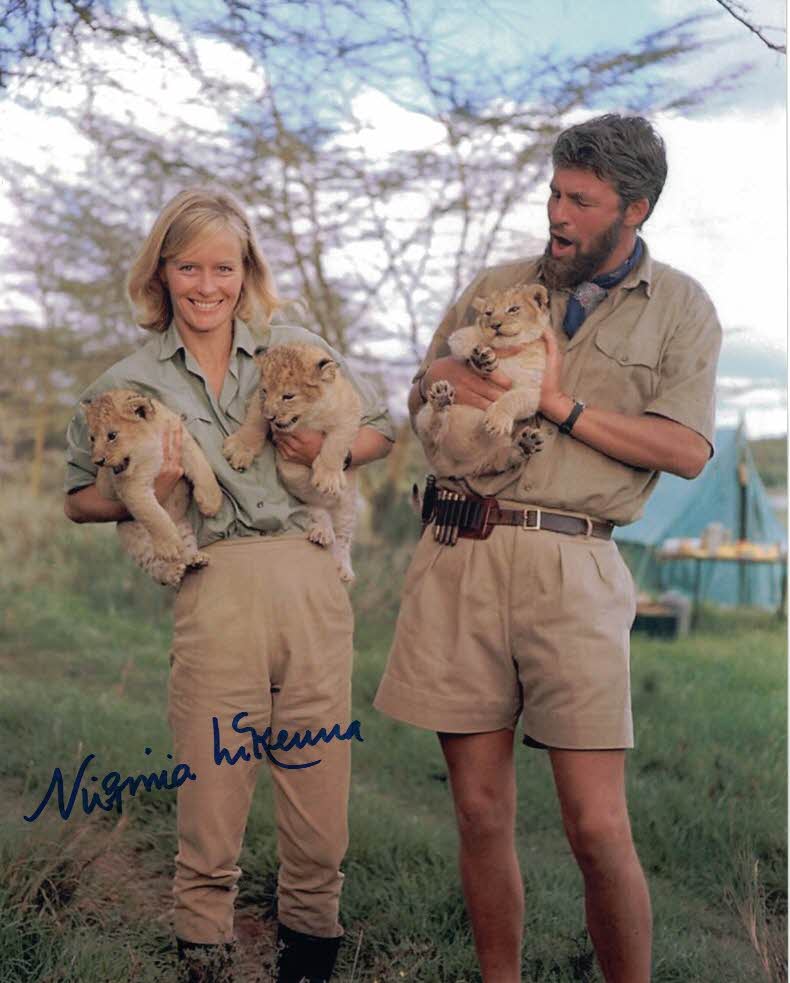 VIRGINIA MCKENNA - Born Free - hand signed 10 x 8 photo