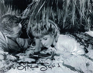 SYLVIA SYMS - Diana Murdoch in Ice Cold In Alex